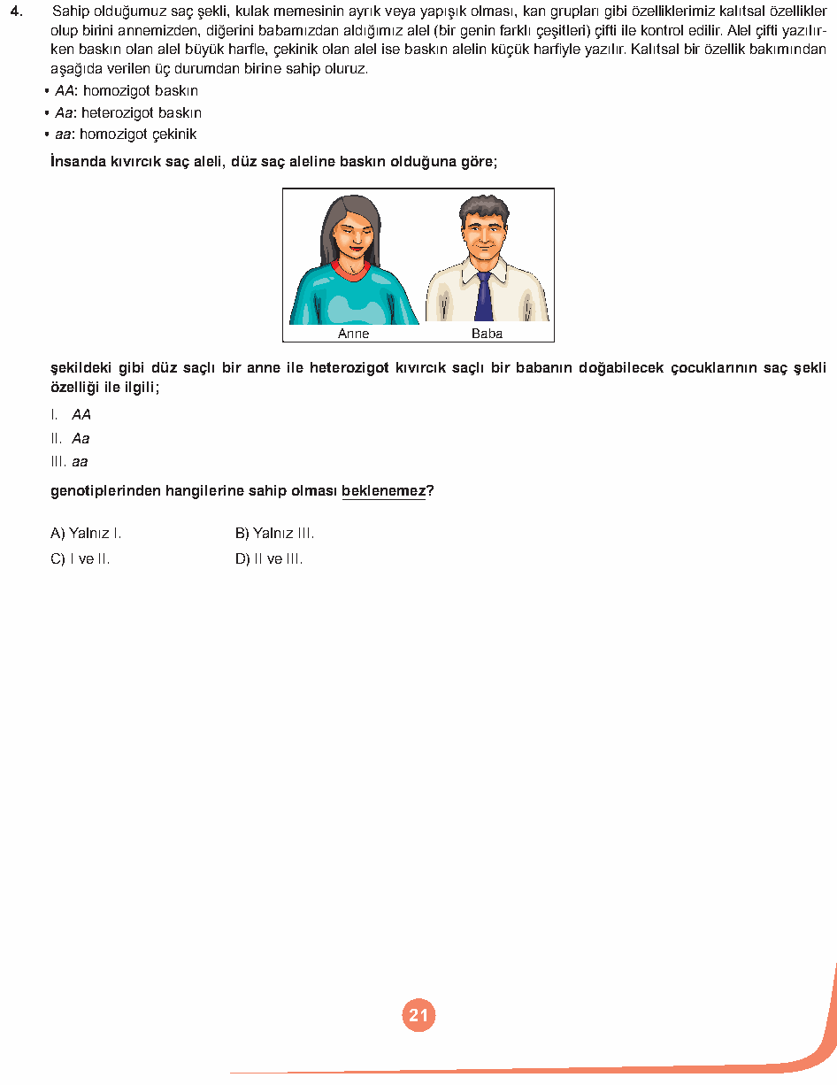 Soru 8