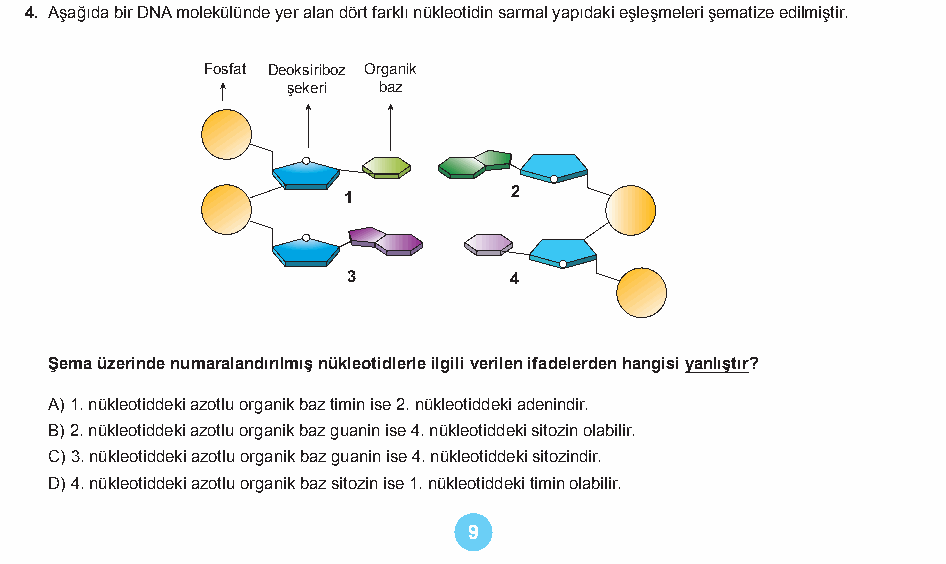 Soru 8