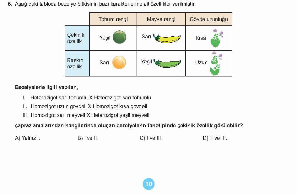 Soru 4