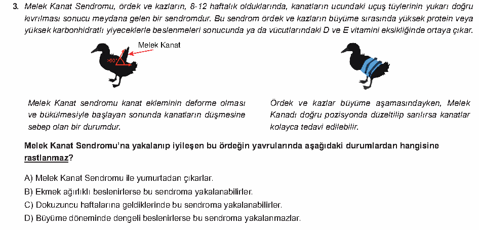 Soru 4