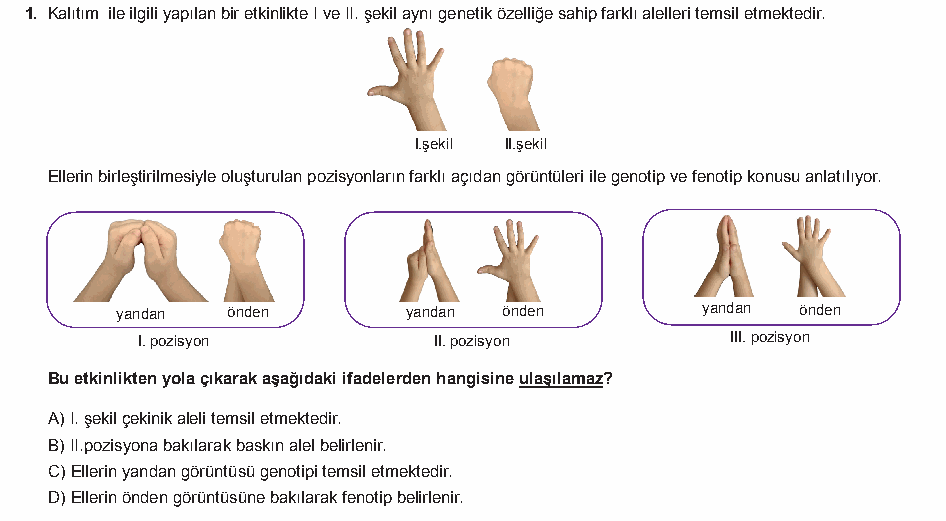 Soru 6