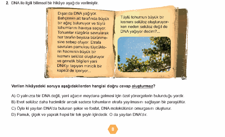 Soru 10