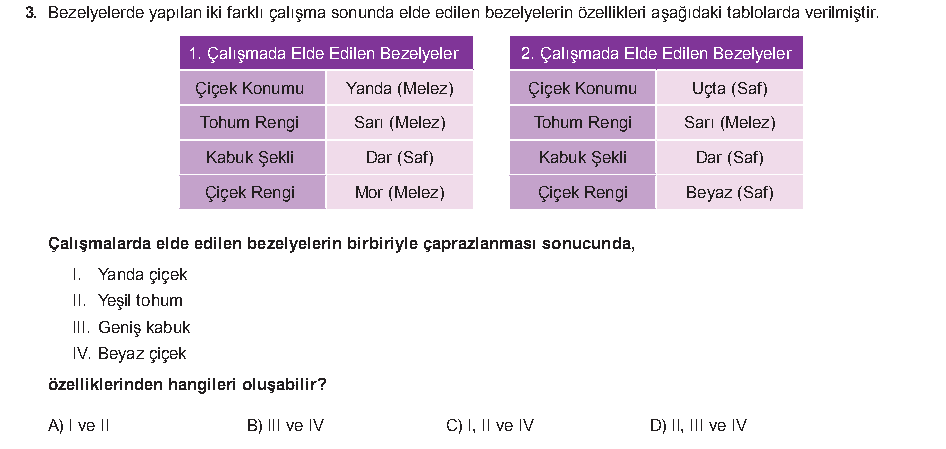 Soru 8