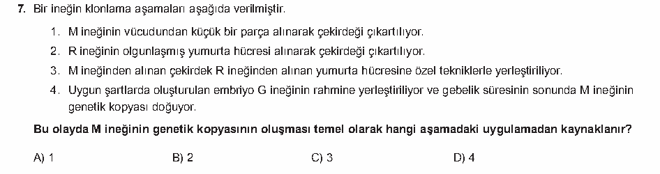 Soru 4