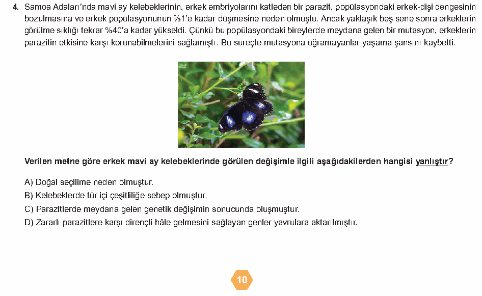 Soru 6