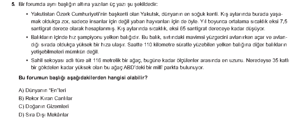 Soru 5