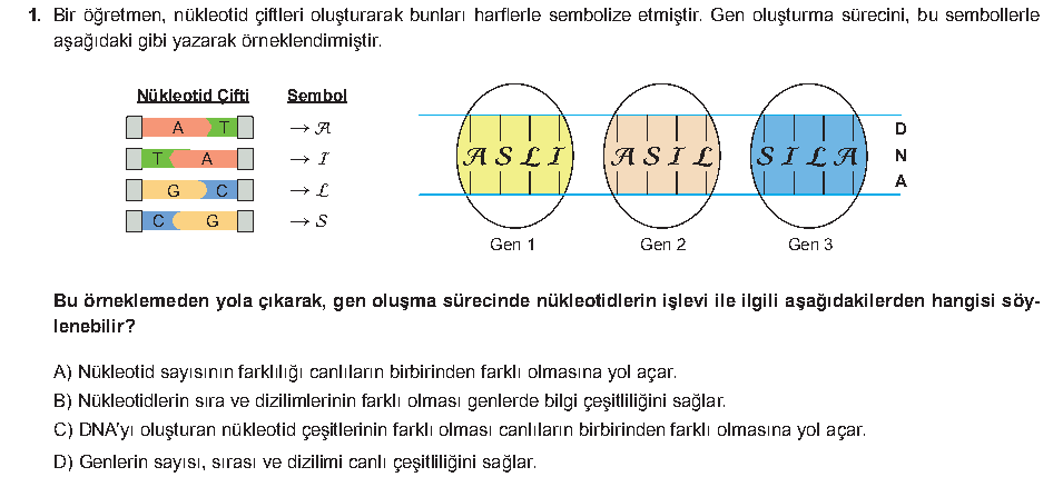 Soru 8