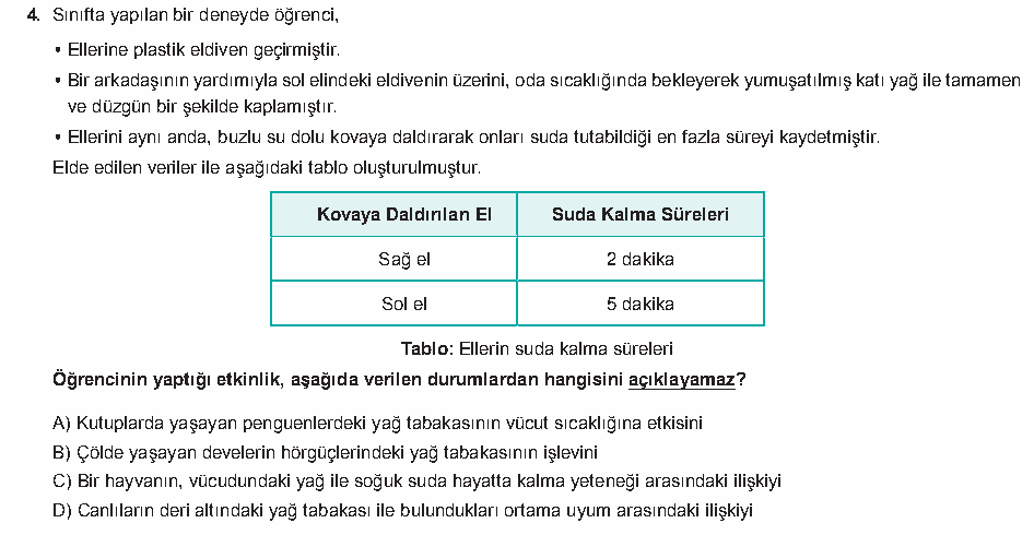 Soru 5