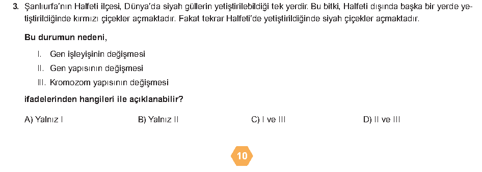 Soru 5