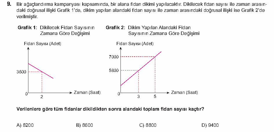 Soru 8