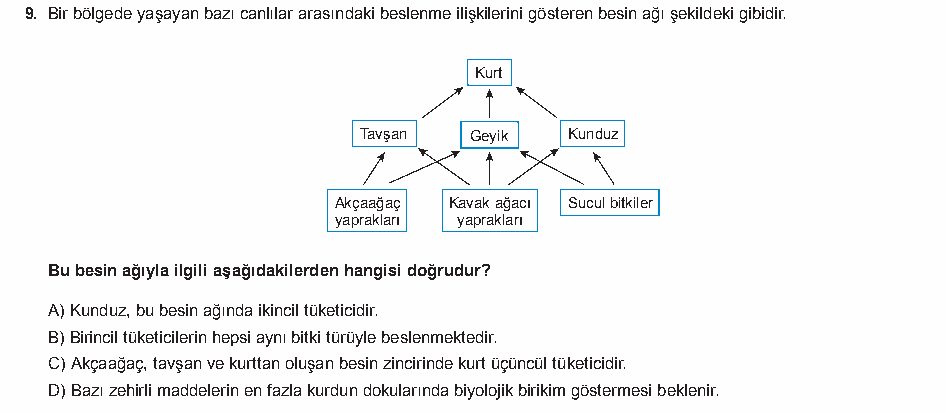 Soru 10
