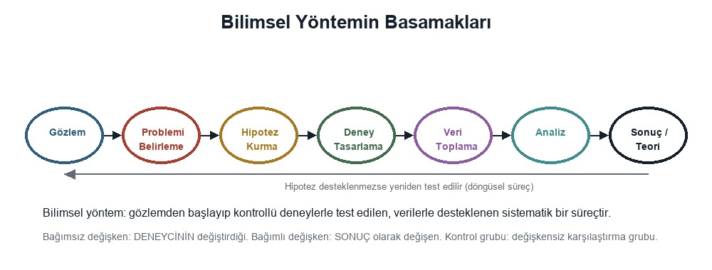 Bilimsel Yöntem ve Basamakları