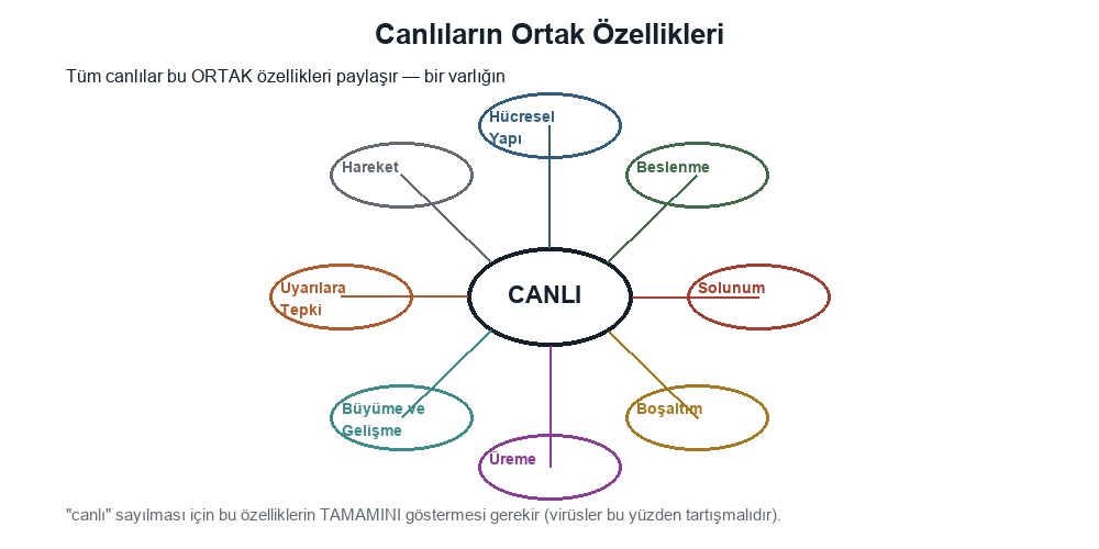 Canlıların Ortak Özellikleri