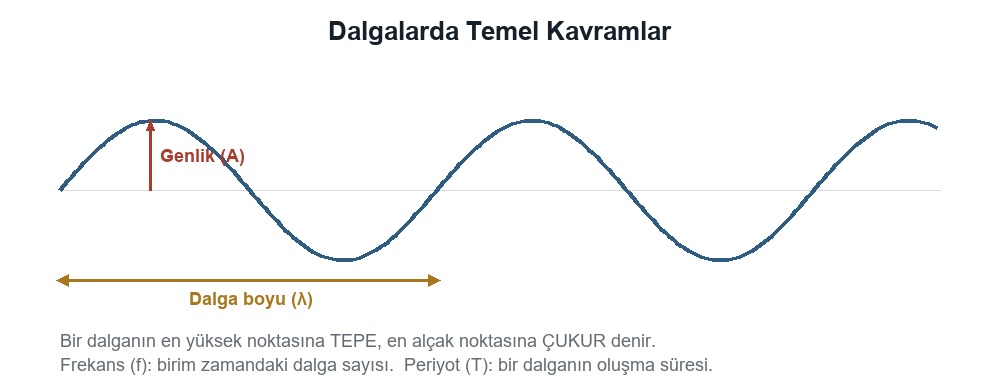Dalgalarda Temel Kavramlar ve Özellikleri
