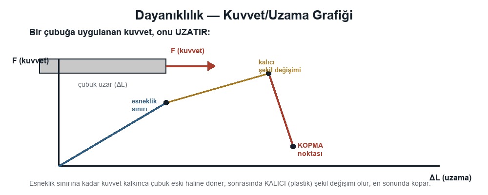Dayanıklılık