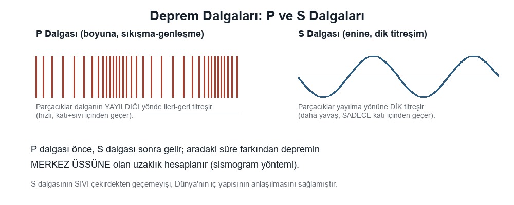 Deprem Dalgaları