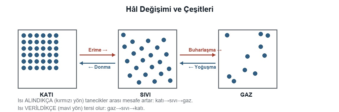 Hâl Değişimi ve Çeşitleri