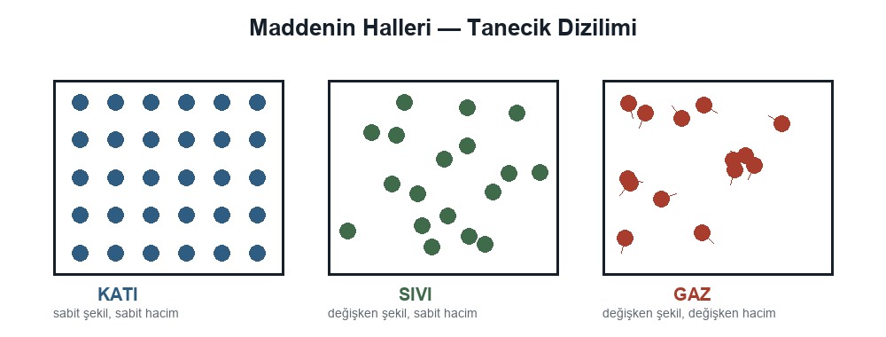 Madde