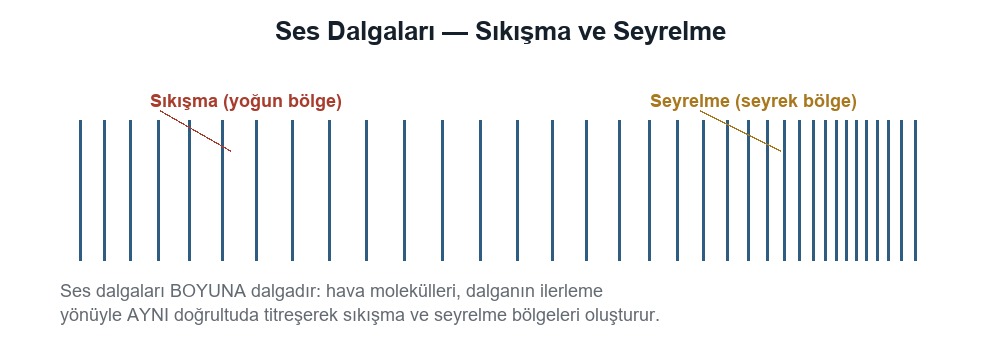 Ses Dalgaları