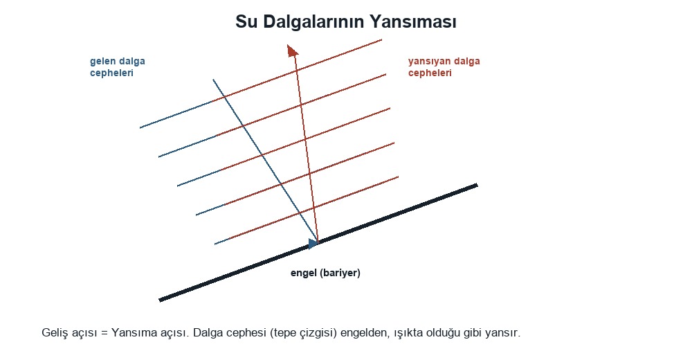 Su Dalgalarının Özellikleri ve Yansıması