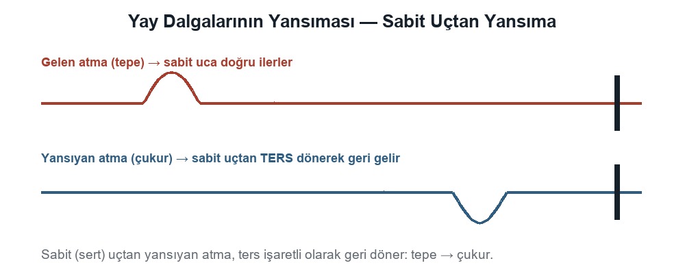 Yay Dalgalarının Hızı ve Yansıması