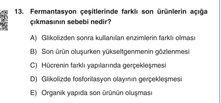 Gerçek Sınav Sorusu
