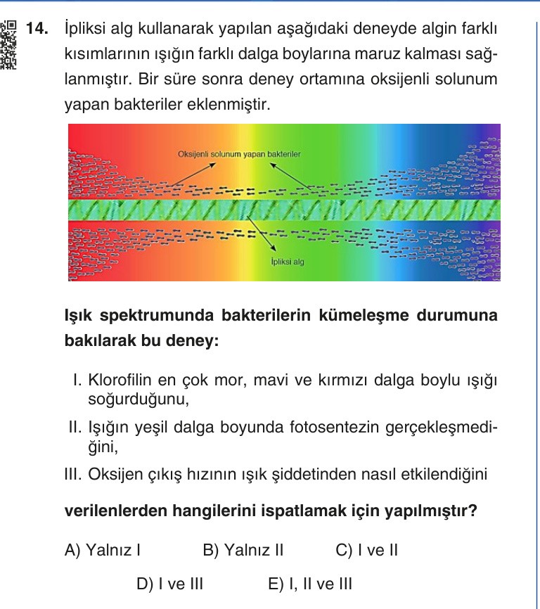 Gerçek Sınav Sorusu