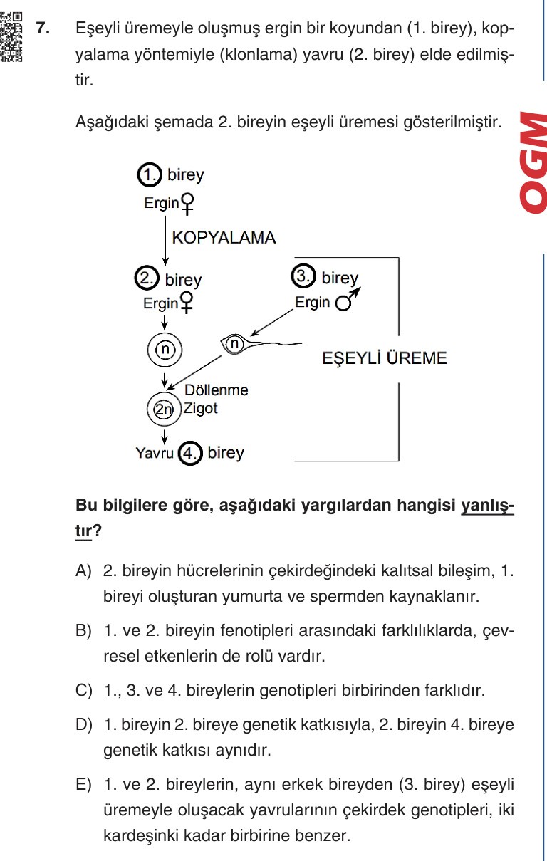 Gerçek Sınav Sorusu