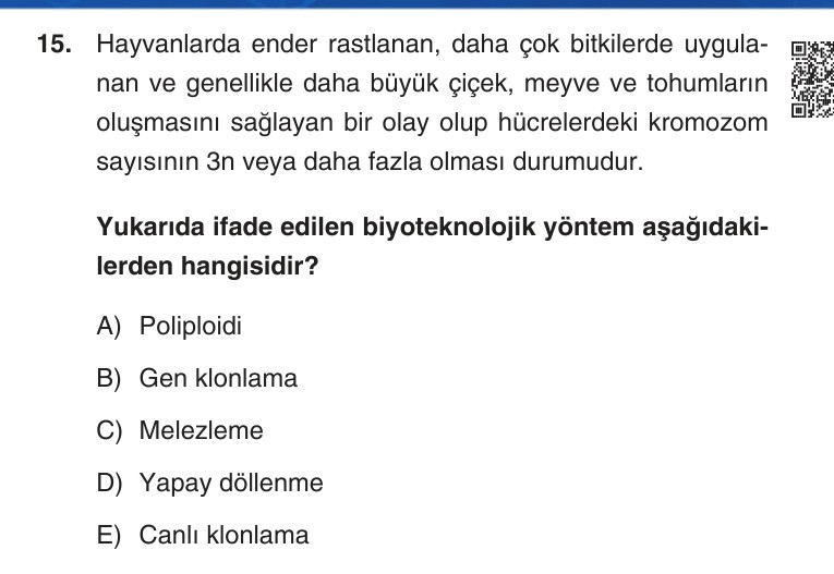 Gerçek Sınav Sorusu