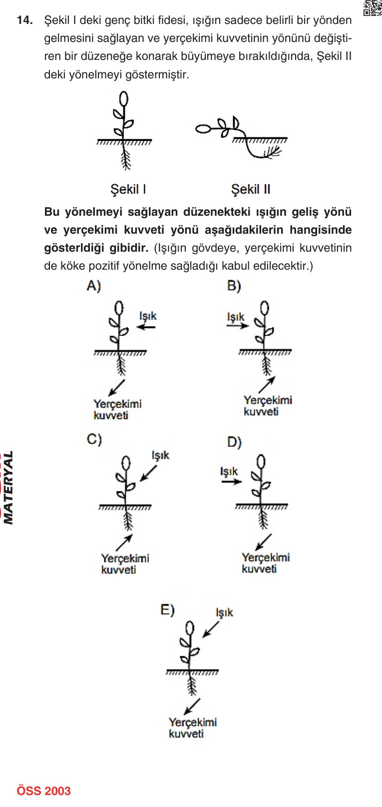 Gerçek Sınav Sorusu