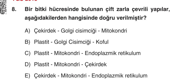 Gerçek Sınav Sorusu