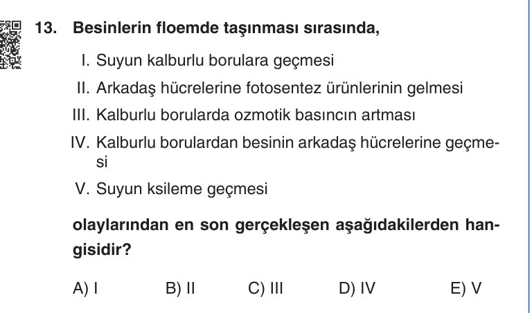 Gerçek Sınav Sorusu