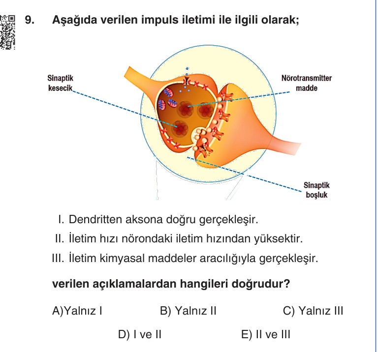 Gerçek Sınav Sorusu