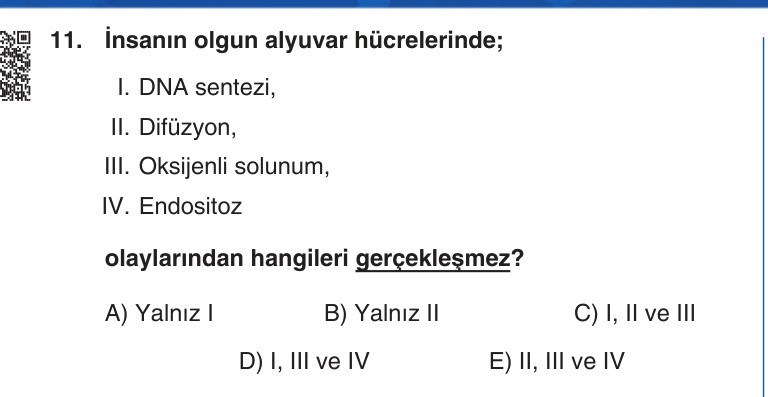 Gerçek Sınav Sorusu