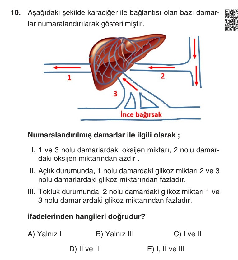 Gerçek Sınav Sorusu
