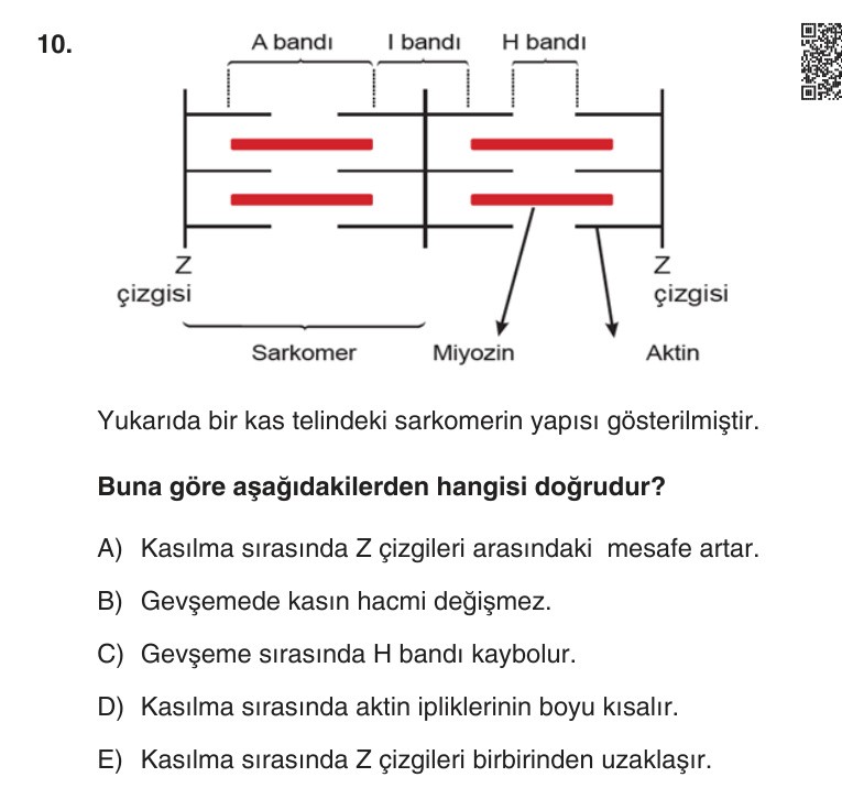 Gerçek Sınav Sorusu