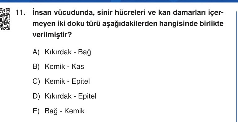 Gerçek Sınav Sorusu