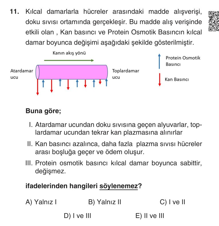 Gerçek Sınav Sorusu