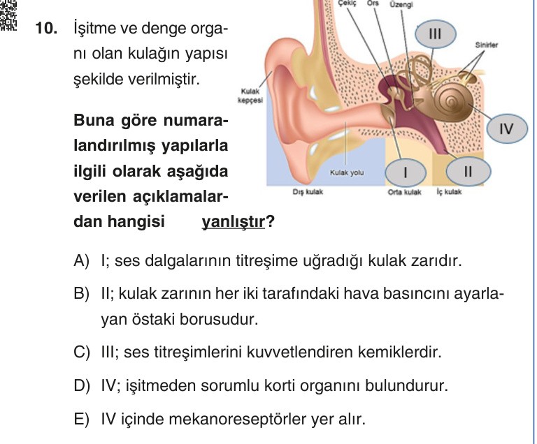 Gerçek Sınav Sorusu