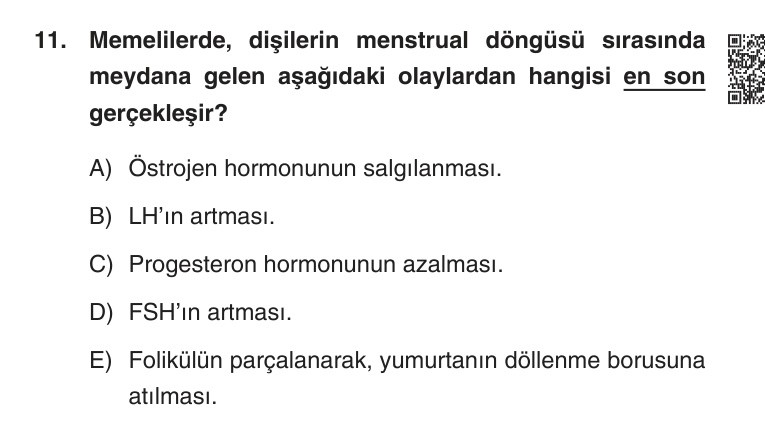Gerçek Sınav Sorusu