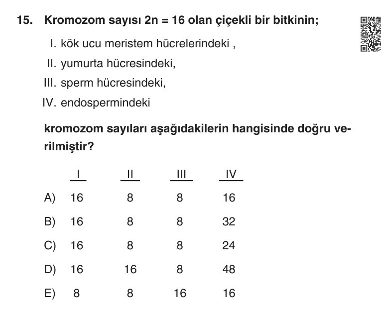 Gerçek Sınav Sorusu
