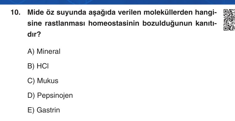Gerçek Sınav Sorusu