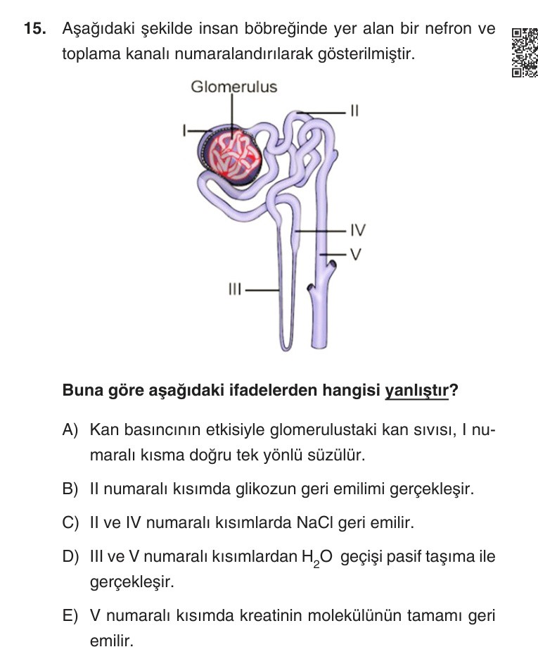 Gerçek Sınav Sorusu