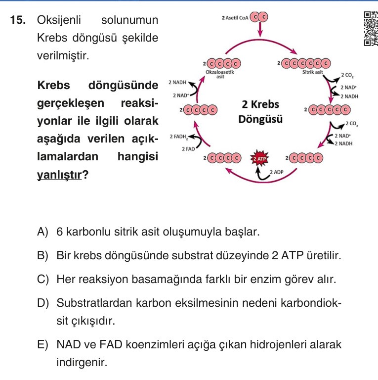 Gerçek Sınav Sorusu