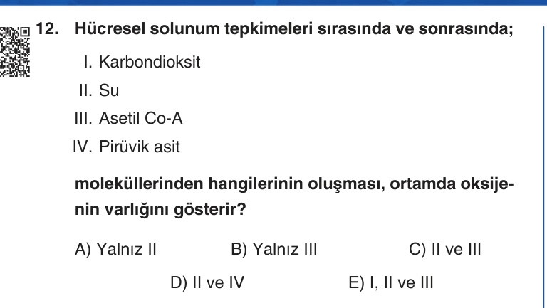 Gerçek Sınav Sorusu