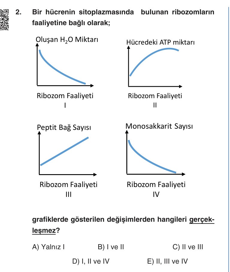 Gerçek Sınav Sorusu