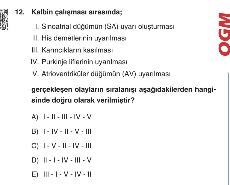 Gerçek Sınav Sorusu