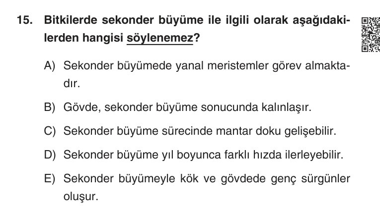 Gerçek Sınav Sorusu