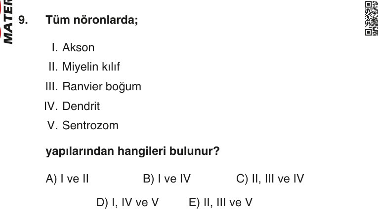 Gerçek Sınav Sorusu