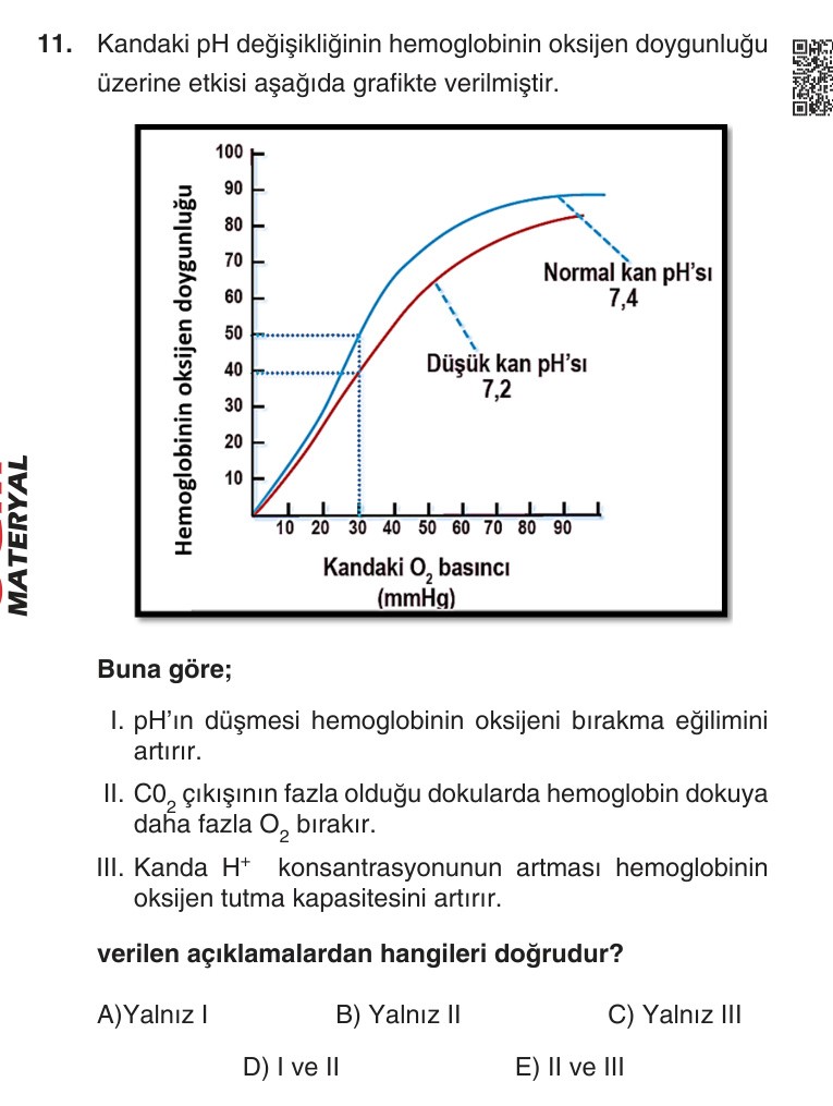 Gerçek Sınav Sorusu